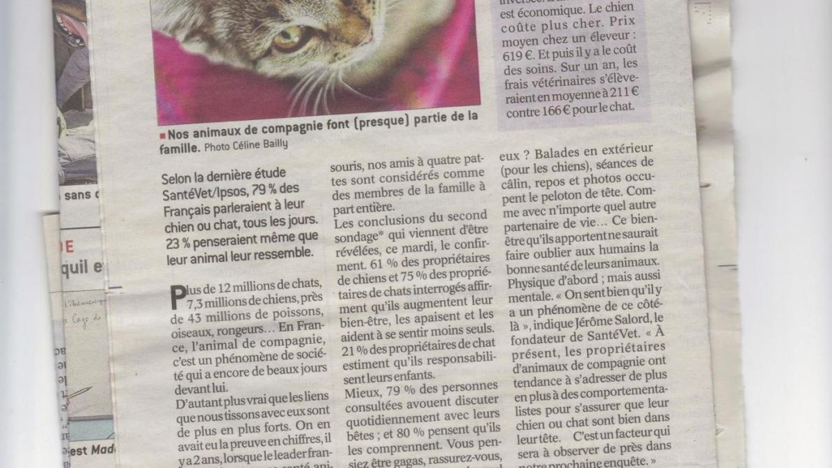 Article presse animaux 001
