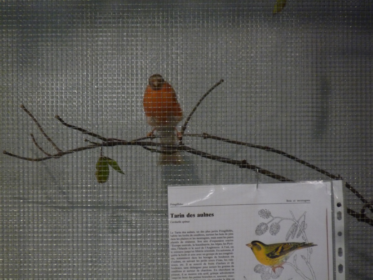 P1160115