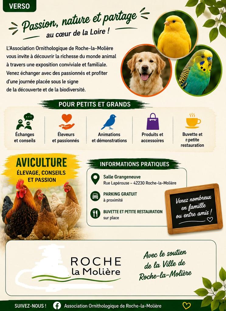 Flyer verso